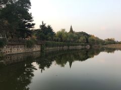 -上海市保健医疗中心