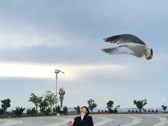 -东港音乐喷泉广场