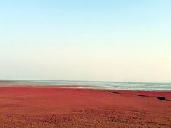 -红海滩国家风景廊道