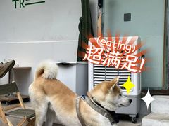 -大青树咖啡(大理古城店)