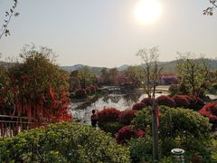 -南京银杏湖乐园