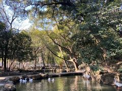 -兰亭风景区