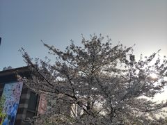 -玉山公园
