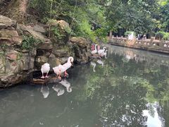 -兰亭风景区