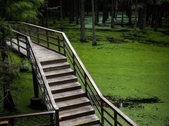 -青山湖景区