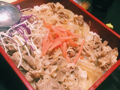 -春草居酒屋·晴子の店
