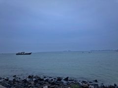 -东郊椰林