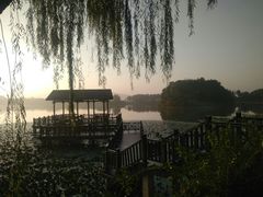 -上海市保健医疗中心