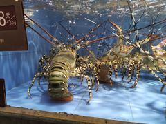 -徐记海鲜(大雁塔|金都店)