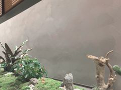 -许家菜(DT51店)