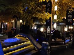 -淀里船宴(裕华东路店)