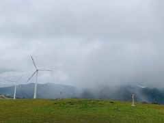 -那琴半岛地质海洋公园