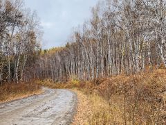 -塞罕坝国家级自然保护区