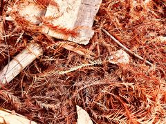 -艾溪湖湿地公园