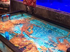 -忆江南·临江鱼馆