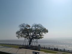 -观潮胜地公园