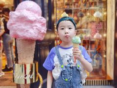 -Dal Cuore 达可芮冰淇淋(陕西北路店)