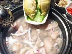 -百年果林椰子鸡(中洲店)
