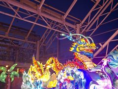 -南宫五洲植物乐园