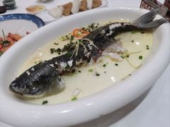 鲜花椒蒸山坑鯇-禄福山庄•顺德菜·融和菜(龙江店)