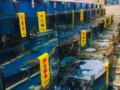 -渔中舟海鲜大排档(普陀沈家门店)