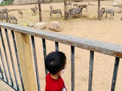 -大连森林动物园