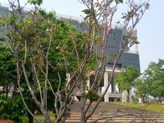 图书馆-广东工业大学(大学城校区)