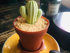 沙漠绿洲-青咖啡(三坊七巷店)
