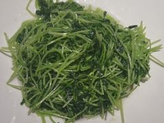 -渔歌湘宴