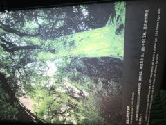 -中国茶叶博物馆(双峰馆区)