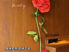 -色響火锅(恒隆广场店)