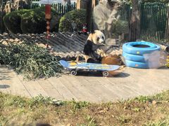 -大连森林动物园