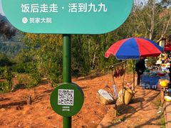 -五凤溪古镇
