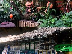 -Jungle Kitchen