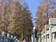 -四海公园(南山区)