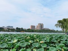-济南大明湖景区