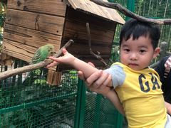 -杭州开元森泊度假乐园