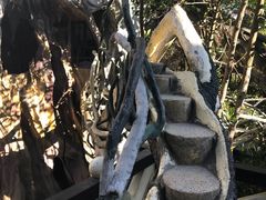 -疯狂屋