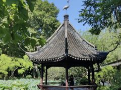 -上海醉白池公园
