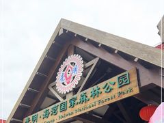 -上海海湾国家森林公园