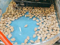 -鑫渔港海鲜本地菜·山海关浑锅(东戴河店)