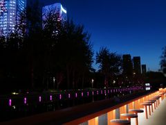 -大望京公园