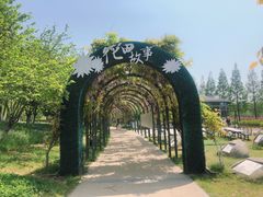 -杭州湾海上花田景区