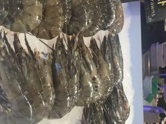 -九月海·海鲜自助(世纪东方店)