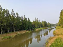 -黄海国家森林公园