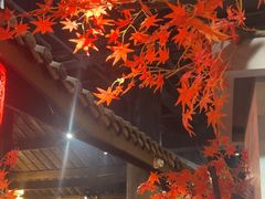 -蓉城老妈火锅(双林路店)