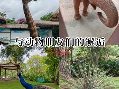 -紫马岭公园