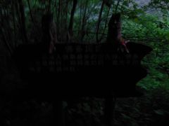 -峡谷浮石林景区