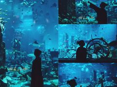 -亚特兰蒂斯水世界冒险乐园