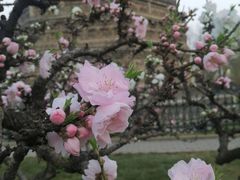 -玲珑塔公园